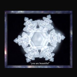 Meet your Posher, Annette